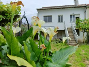asa-venta-sobran-oportunidad-fogar-inmobiliaria 001