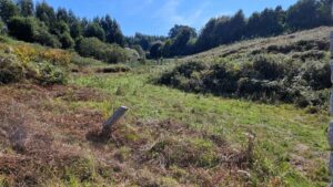 terreno-venta-curro-barro-fogar-xestion-inmobiliaria