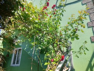 casa-venta-vilagarcia-a-reformar-fogar-inmobiliaria 000 (2)